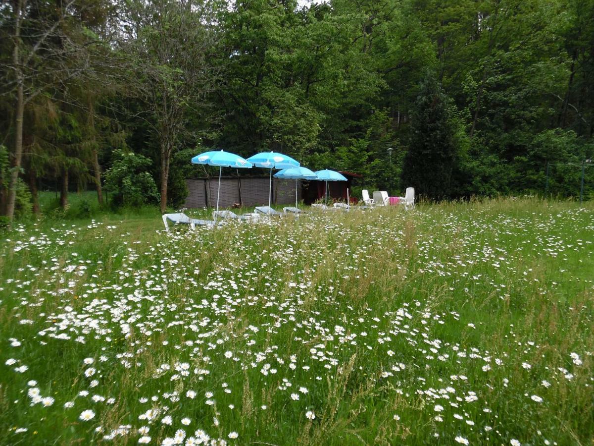 Wellness Und Romantik Hotel Helmboldt Bad Sachsa Exteriör bild